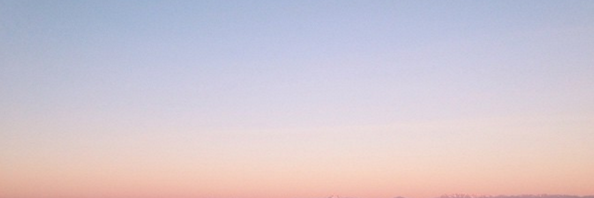 elisepesch's profile banner image