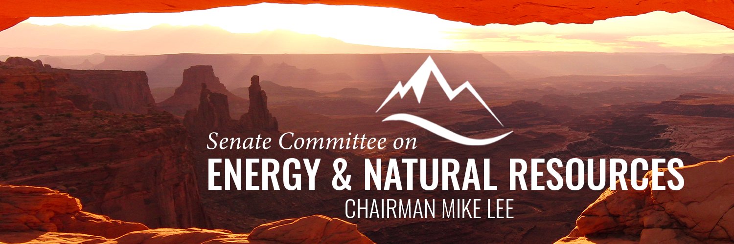 Senate Energy GOP's banner