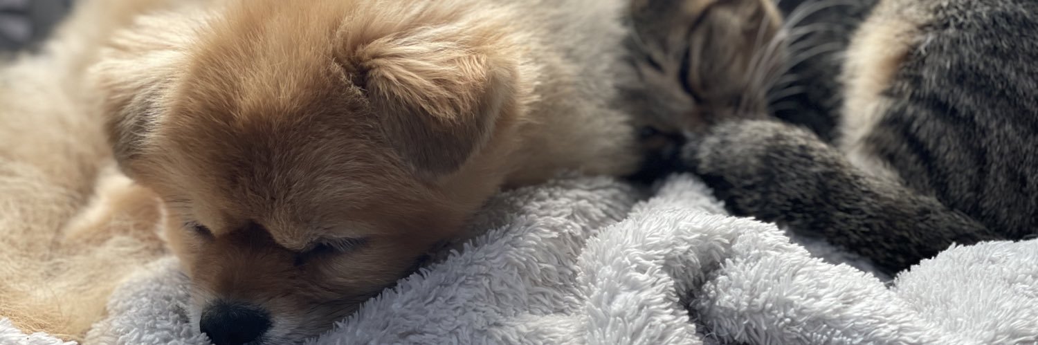 GGabrielYun2's profile banner image