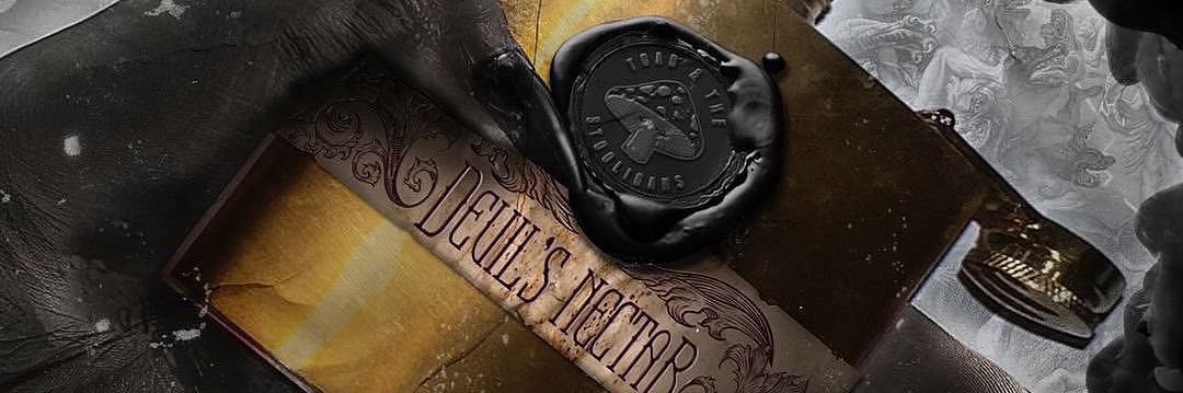 Toad and the Stooligans banner