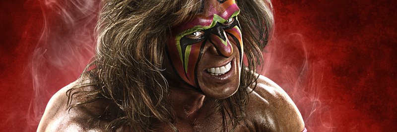 Ultimate Hogan banner