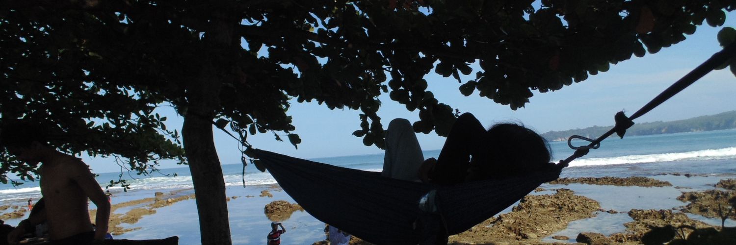 Alvin D. Aprilian banner