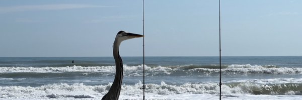 CollectPanda33 Profile Banner