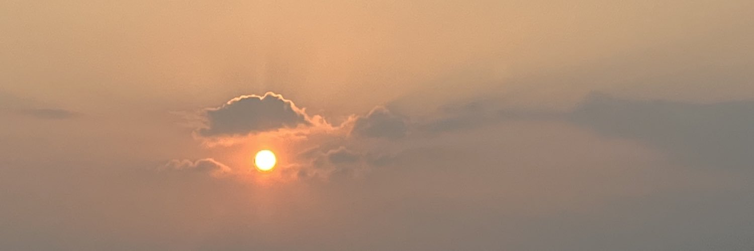 blossommoons's profile banner image