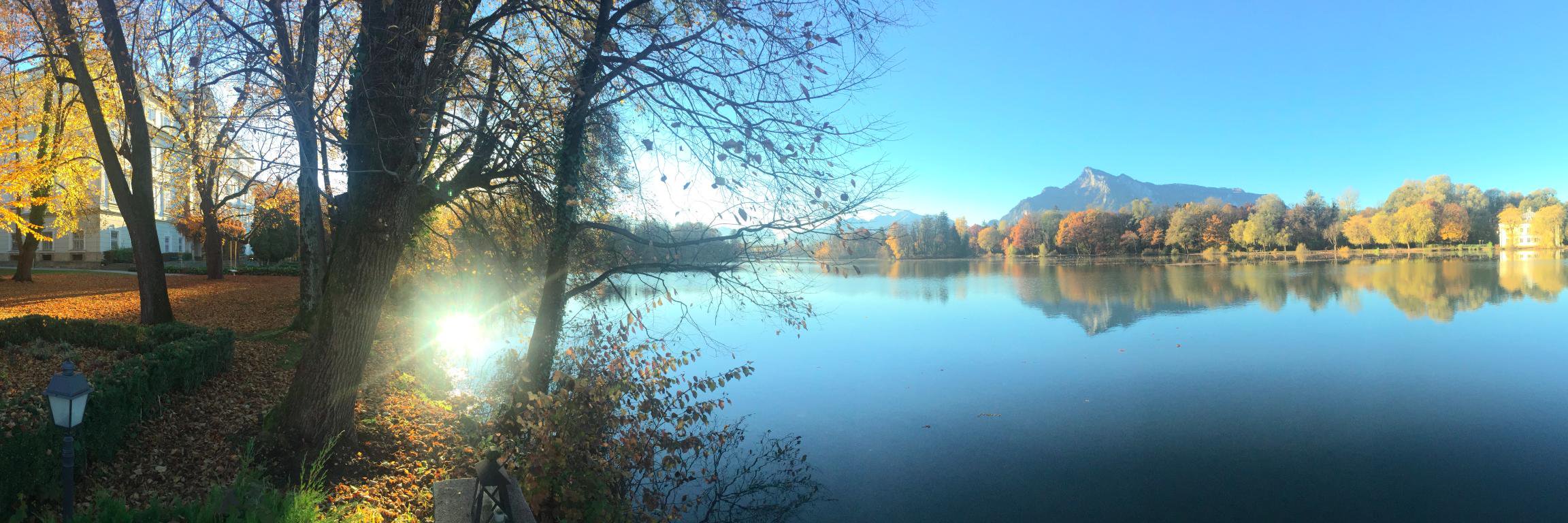 Stephen Johnston banner