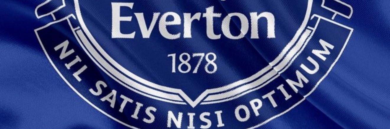EvertonLifes banner