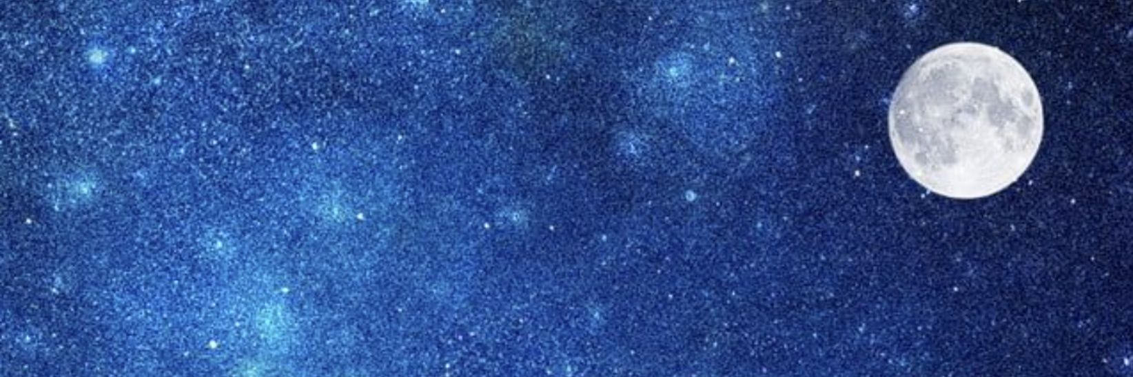 y. banner