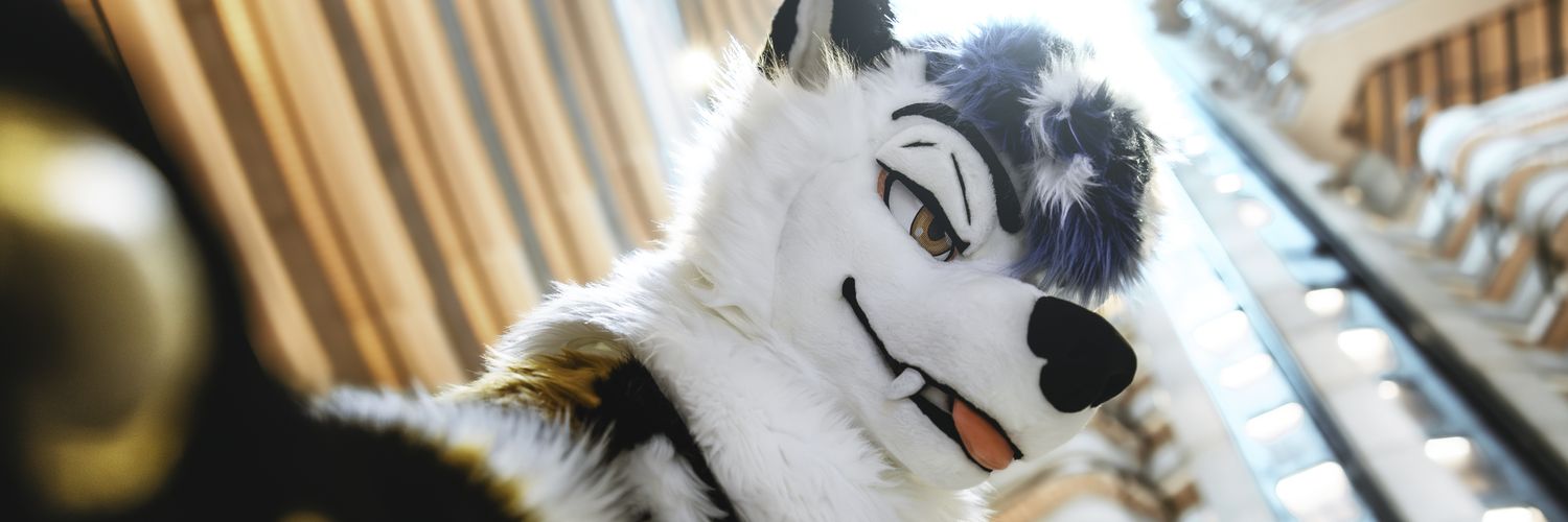 Fraye➡️LVFC banner