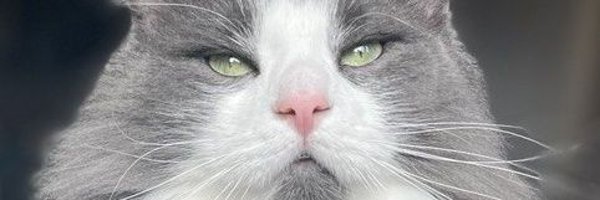 Eagleoner77 Profile Banner