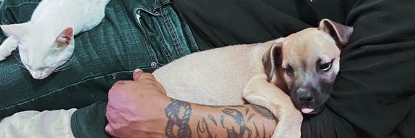 silentical Profile Banner