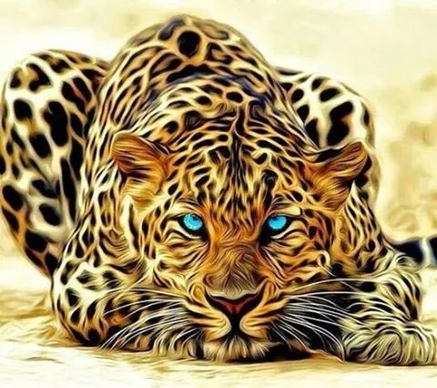 CASH__BANKER's profile banner image