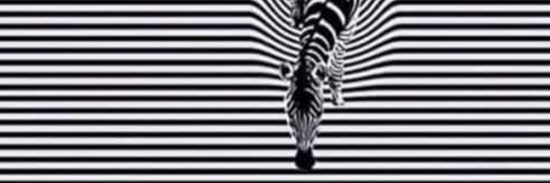 SamRoss banner
