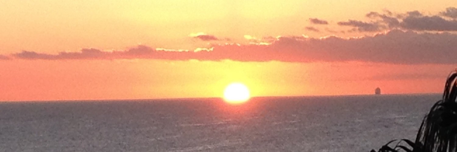 Peggy Troublefield banner