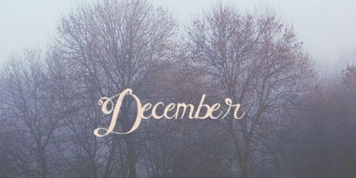 KDevita's profile banner image
