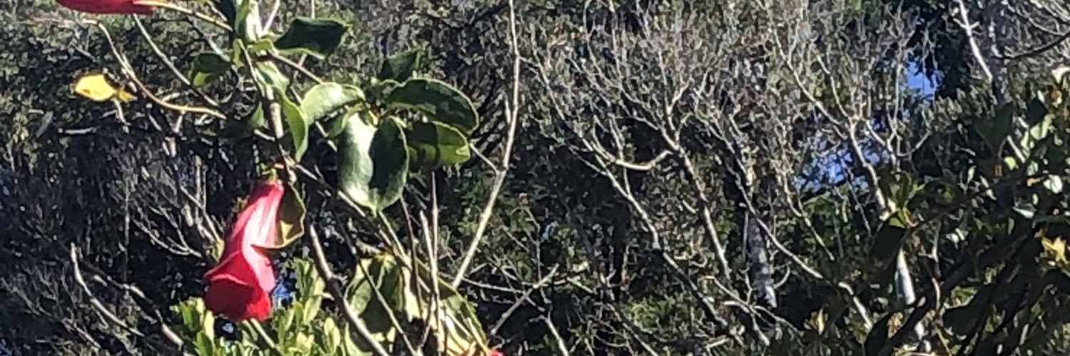 jessicacisterna's profile banner image