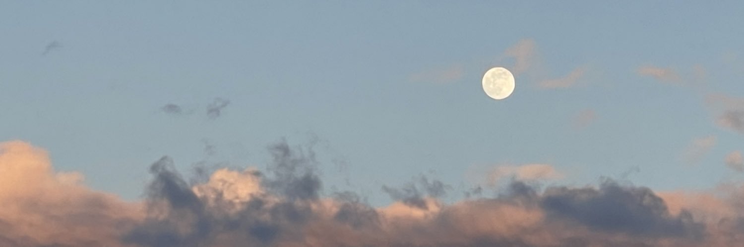 marisolisweird's profile banner image