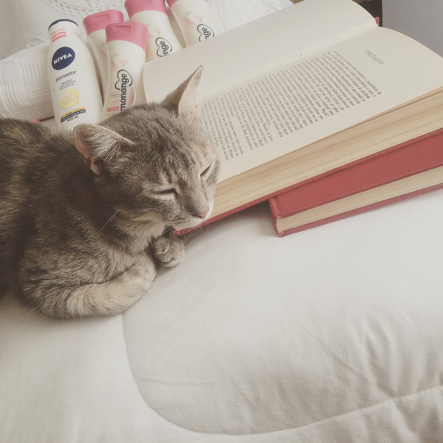 ⚡️Patrick Souza 🥁 banner