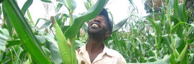 Foundations4Farming International banner