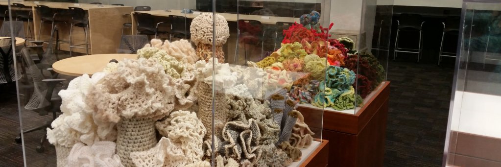 Dr. Sara Gonzalez banner