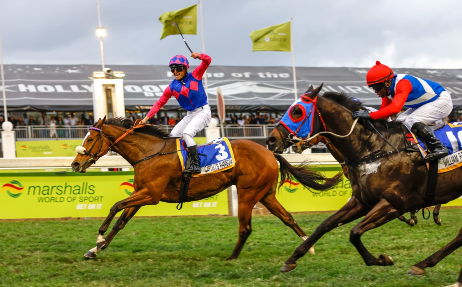 Horseracing Analyst banner