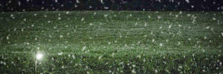 wanieee13's profile banner image