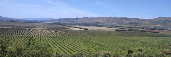 ValdakMX Profile Banner