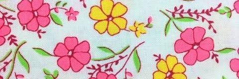QueenFIossy's profile banner image