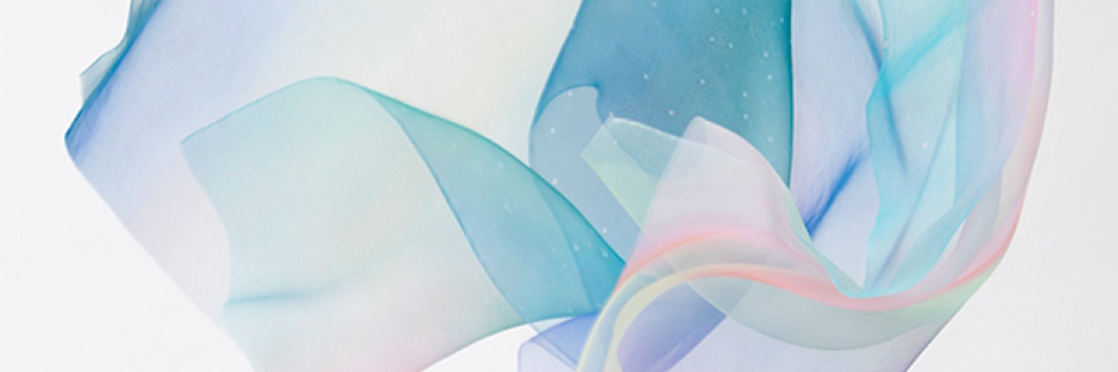 lizpradal's profile banner image