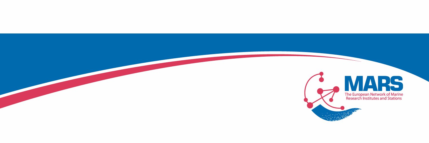 MarsSecretariat's profile banner image