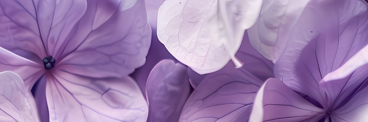 GenesisG2's profile banner image
