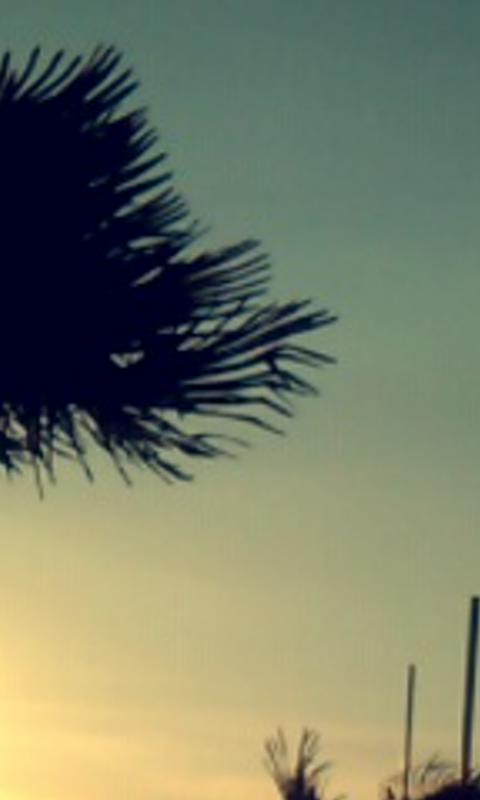 indysnippe's profile banner image