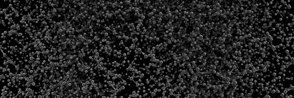 dicksonlab Profile Banner