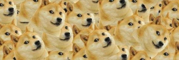 no context doge banner