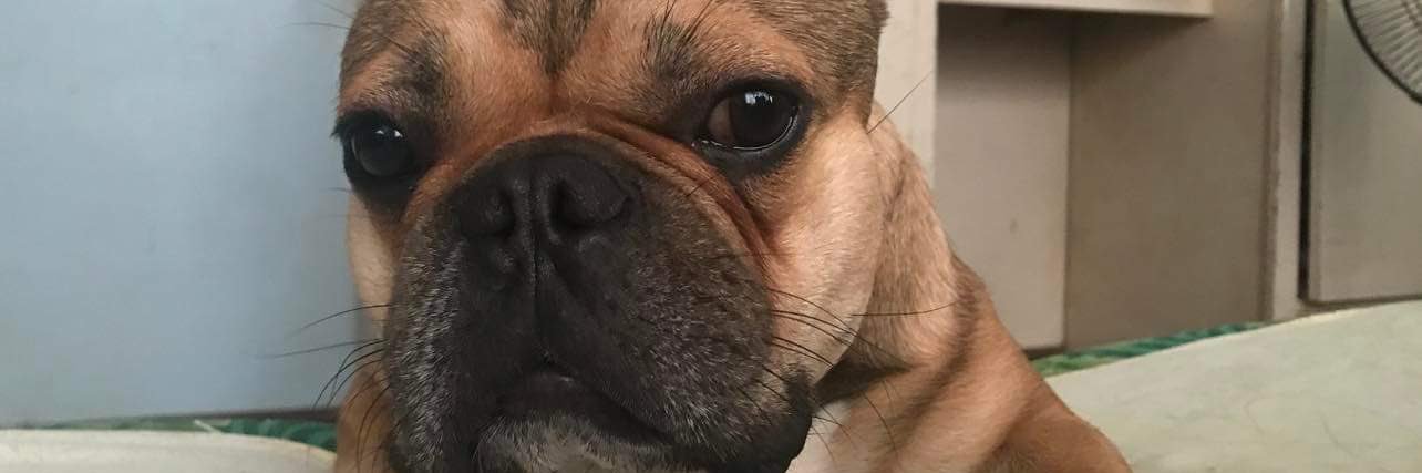 BONSANITYYY's profile banner image