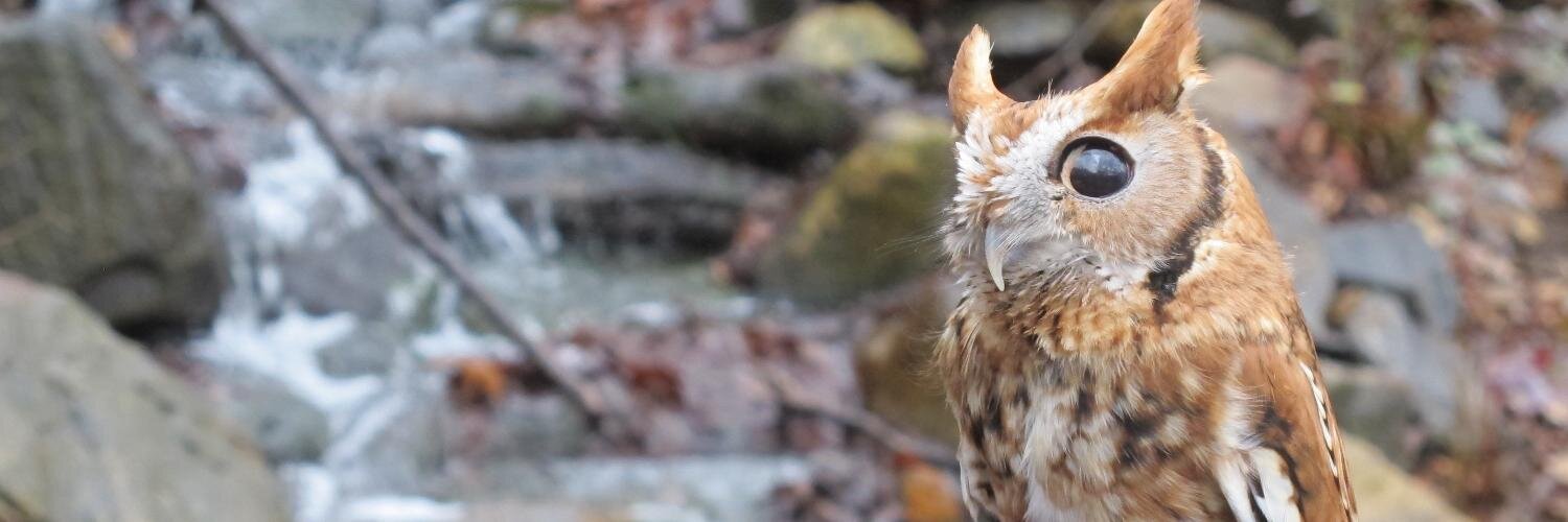 wncnaturecenter's profile banner image