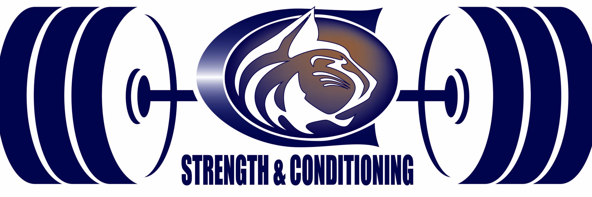 Steve Schween, CSCS banner