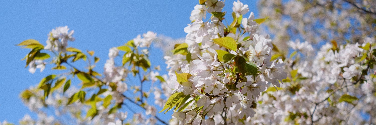 The Hunger Service banner