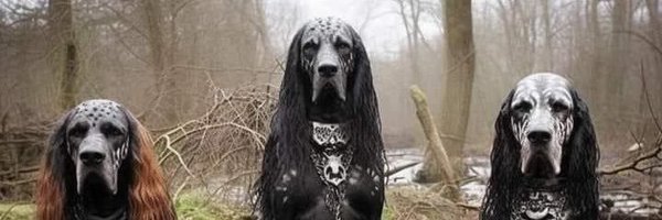 dXn_hellgo Profile Banner