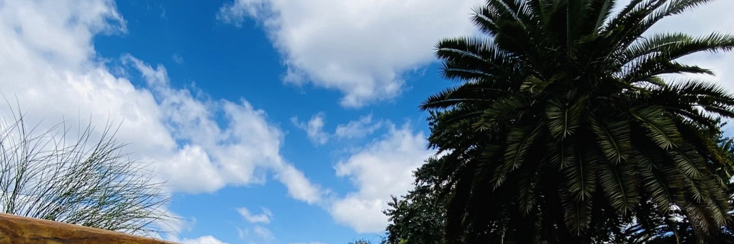 jackynutri's profile banner image