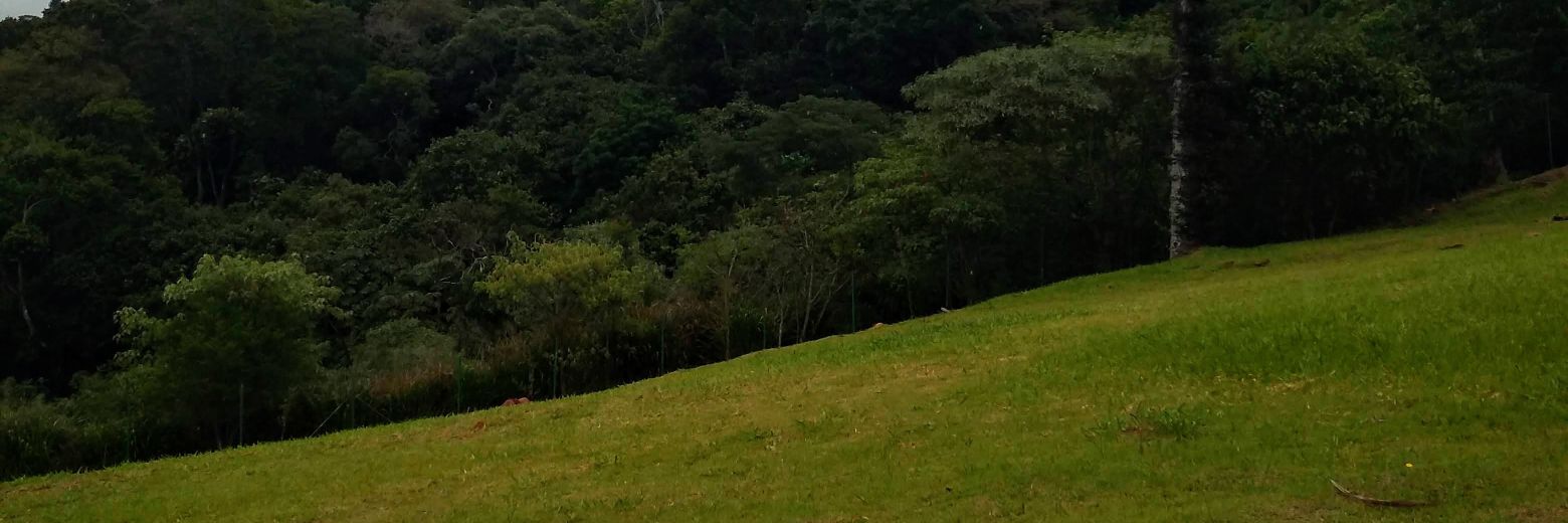 pacaju2002's profile banner image