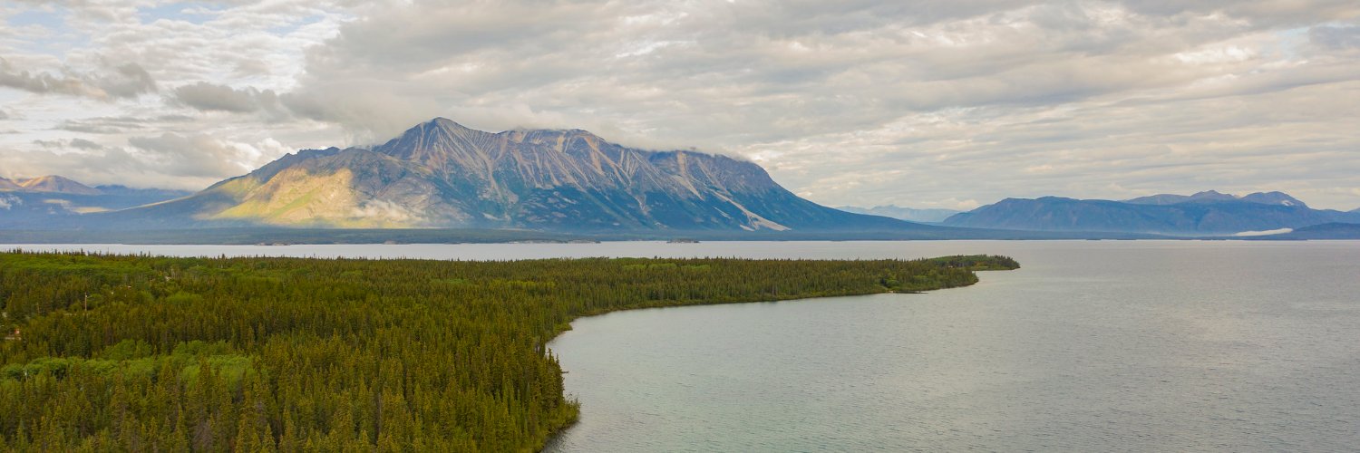 Boreal Conservation banner