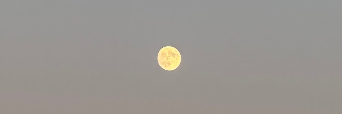 katarinalinnh's profile banner image