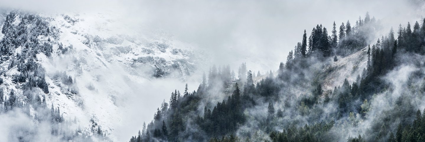 Define The Light banner