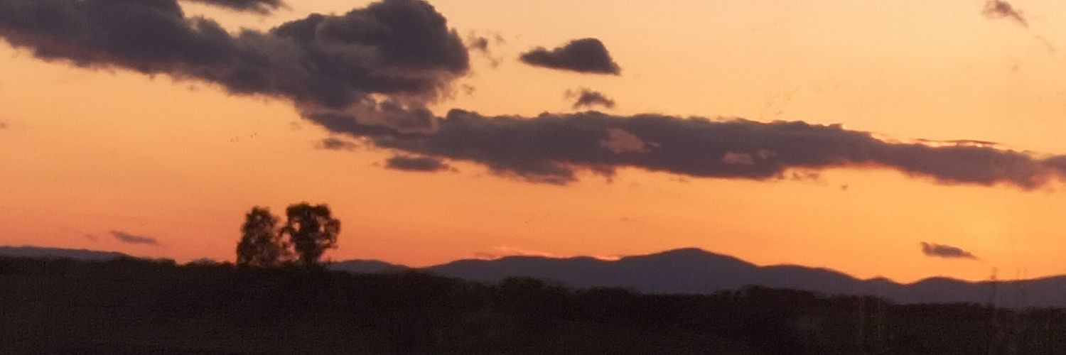 EvaCalvo_15's profile banner image