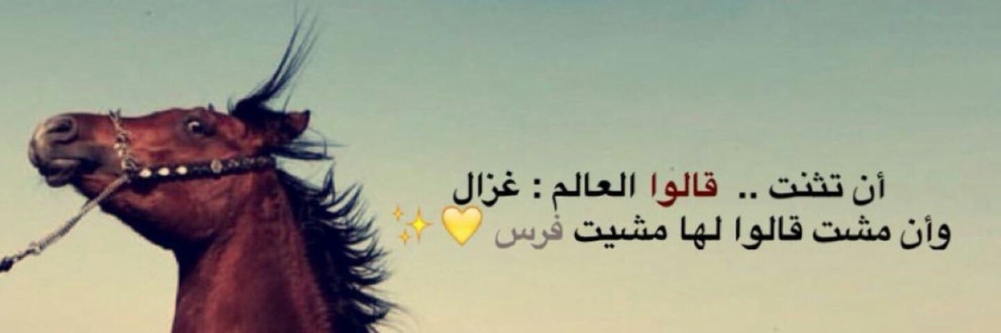 mohra482's profile banner image