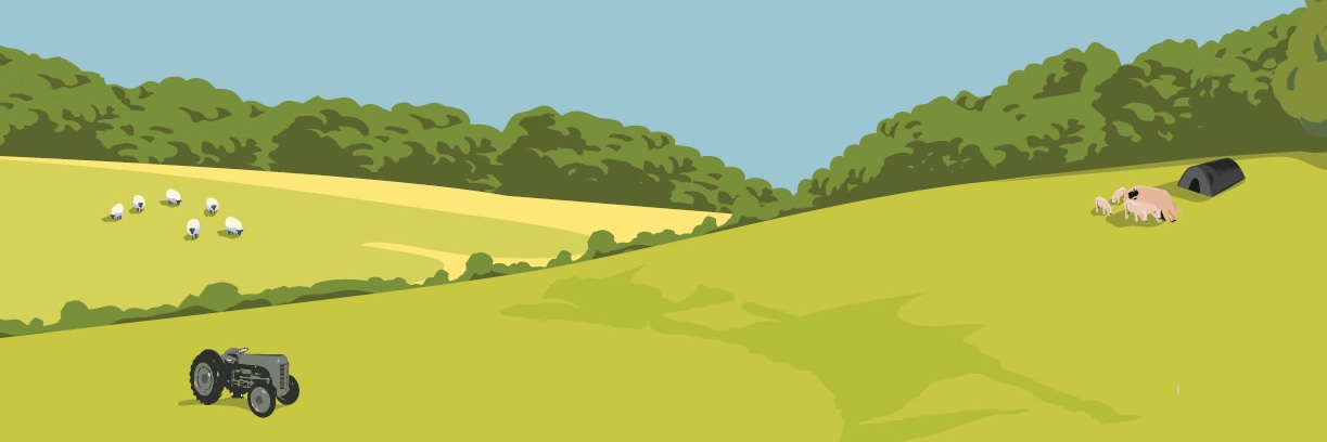 IanGJones's profile banner image