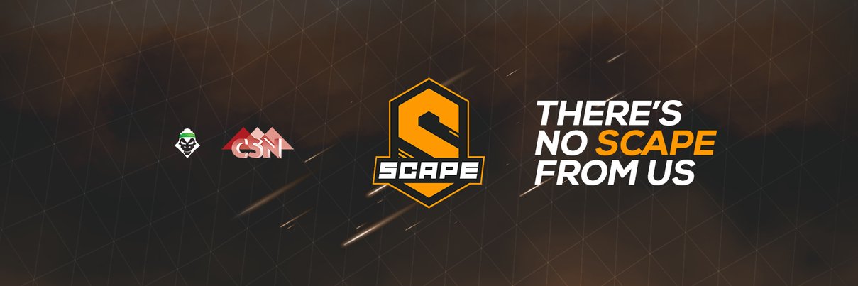 Scape Esports banner