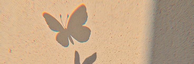 gottabea's profile banner image