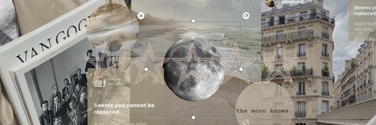 Edelweiss ʚɞ banner