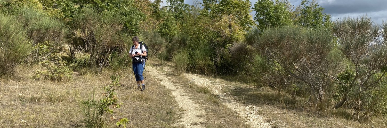 Julian Hector banner